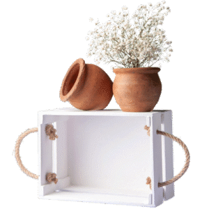 Modern Mini Plant Stand